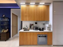 Peak Residence (D11), Condominium #578647411